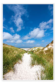Plakat  Path to the beach - Reiner Würz