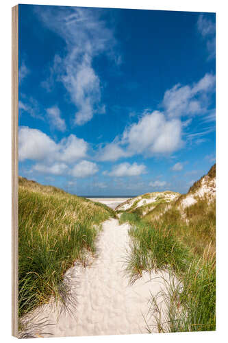 Cuadro de madera Path to the beach