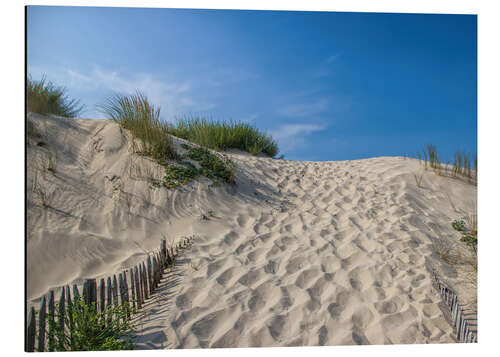 Tableau en aluminium Sur la dune XI