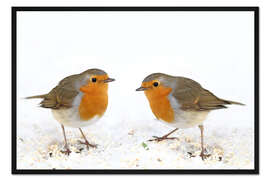 Gerahmter Kunstdruck Rotkehlchen