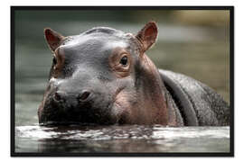 Gerahmter Kunstdruck Nilpferd