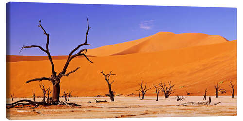 Canvastavla Dead Vlei, Namibia