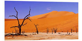 Foam board print Dead Vlei, Namibia