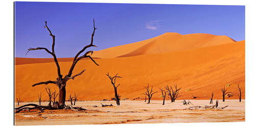 Galleriprint Dead Vlei, Namibia