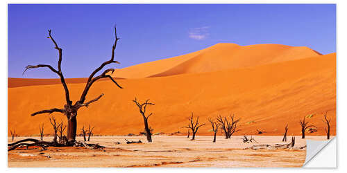 Naklejka na ścianę Dead Vlei, Namibia