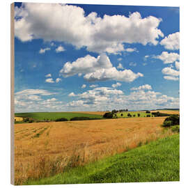 Obraz na drewnie Landschaft und Wolken