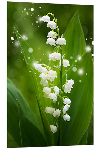 PVC print Lily of the valley