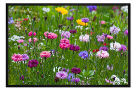 Gerahmter Kunstdruck Sommerwiese