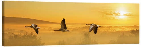 Canvas print The flight of the wild geese