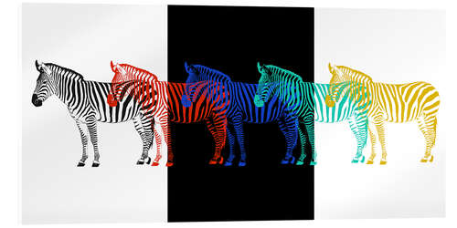 Acrylglas print zebra pop art parade