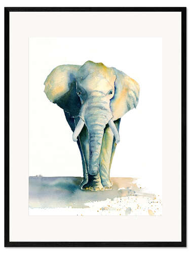 Framed art print Elephant