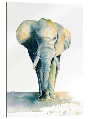 Quadro em plexi-alumínio Elephant