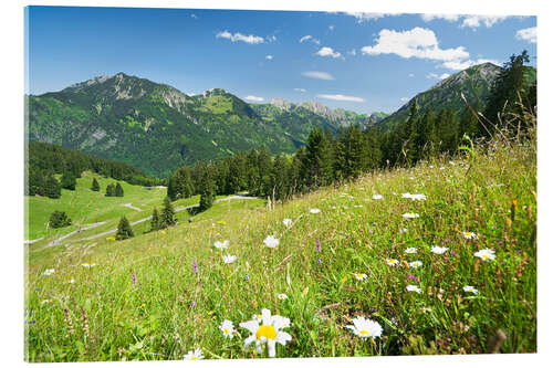 Akrylbilde alpine meadow germany