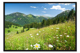 Gerahmter Kunstdruck Almwiese Allgäuer Alpen