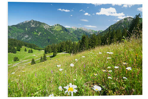 Print på skumplade alpine meadow germany