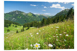 Foam board print alpine meadow germany