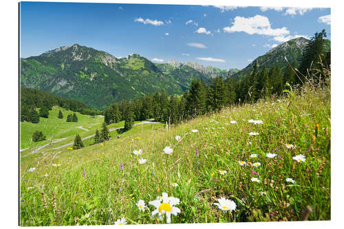 Galleritryck alpine meadow germany