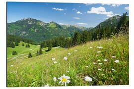 Magnettafel Almwiese Allgäuer Alpen