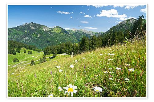 Poster Almwiese Allgäuer Alpen