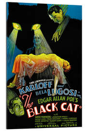 Cuadro de plexi-alu THE BLACK CAT, Boris Karloff, Harry Cording, Jacqueline Wells [Julie Bishop], Bela Lugosi, 1934