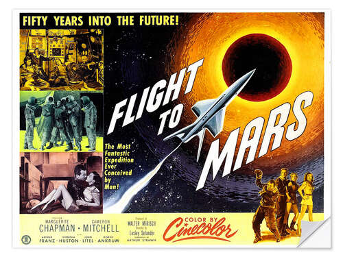 Wandsticker Flight to Mars