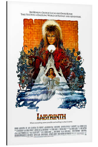 Stampa su alluminio Labyrinth