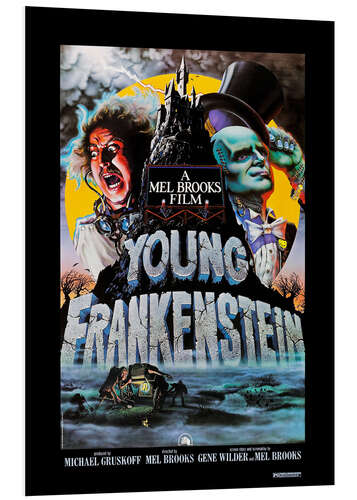 Tableau en PVC Frankenstein Junior, 1974 (anglais)