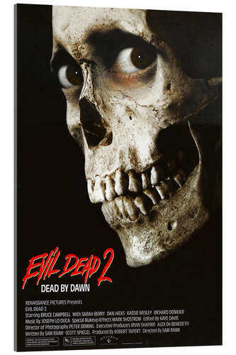 Tableau en verre acrylique Evil Dead 2 (anglais)