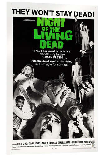 Quadro em acrílico Night of the Living Dead