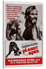 Cuadro de aluminio PLANET OF THE APES, top: Charlton Heston, 1968