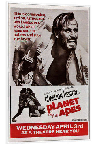 Stampa su PVC PLANET OF THE APES, top: Charlton Heston, 1968