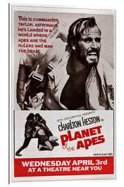 Stampa su plexi-alluminio PLANET OF THE APES, top: Charlton Heston, 1968