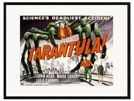 Framed art print Tarantula