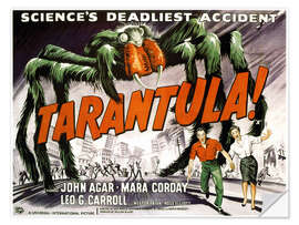 Sisustustarra Tarantula