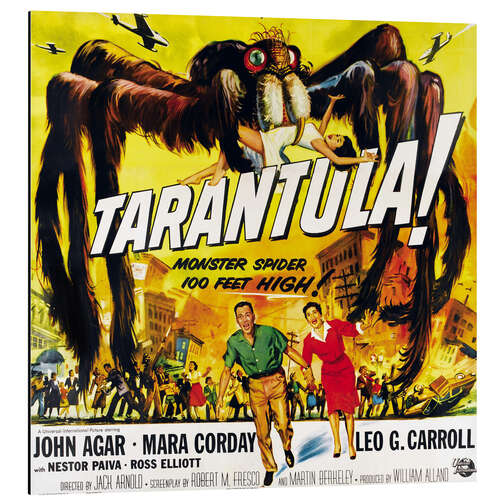 Aluminium print TARANTULA !, John Agar, Mara Corday, 1955