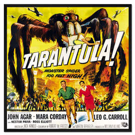 Gerahmter Kunstdruck Tarantula