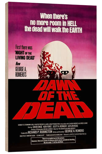 Cuadro de madera Dawn of the Dead