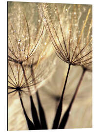 Magnettafel Pusteblume Vanillasky