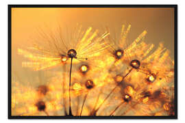 Gerahmter Kunstdruck Pusteblume goldene Perlen