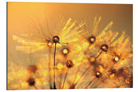 Magnettafel Pusteblume goldene Perlen