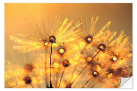 Wall sticker Dandelion golden beads