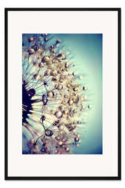 Gerahmter Kunstdruck Pusteblume blauer Kristall