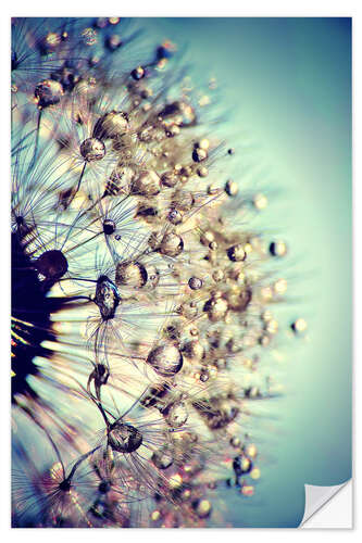 Muursticker Dandelion blue crystal