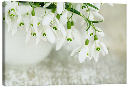 Canvas print Snowdrop Flowers