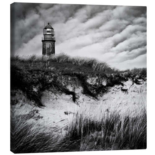 Canvas print [Darßer site]