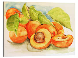 Magnettafel Aprikosen