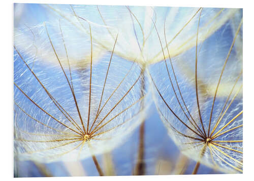 Hartschaumbild Pusteblume unter blauem Himmel