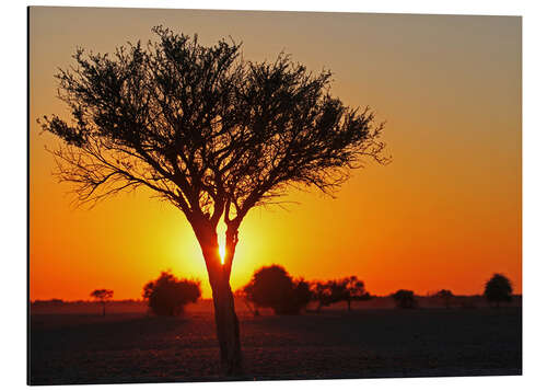 Tableau en aluminium Lever de soleil en Afrique