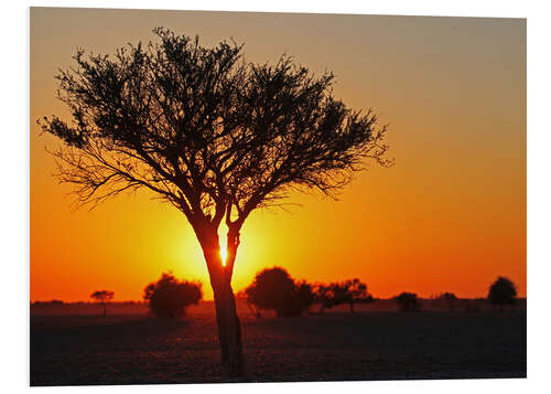 Hartschaumbild Sonnenaufgang in Afrika