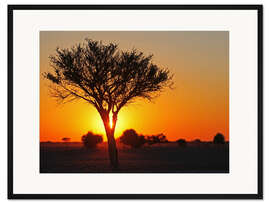 Gerahmter Kunstdruck Sonnenaufgang in Afrika